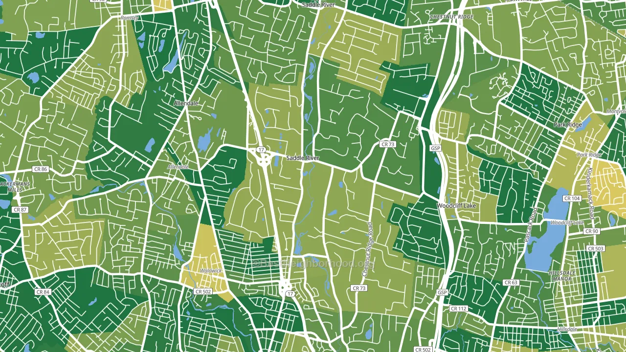Saddle River, NJ block-group voter-turnout map