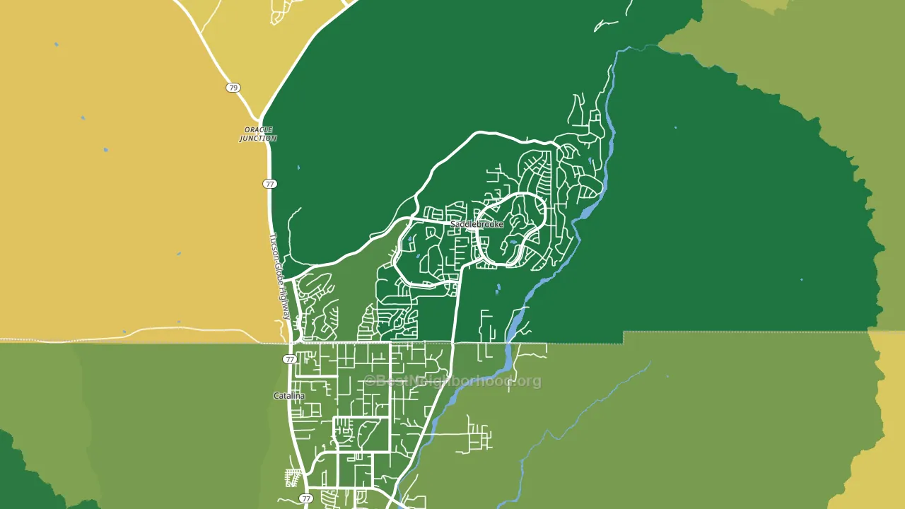 Saddlebrooke, AZ block-group voter-turnout map