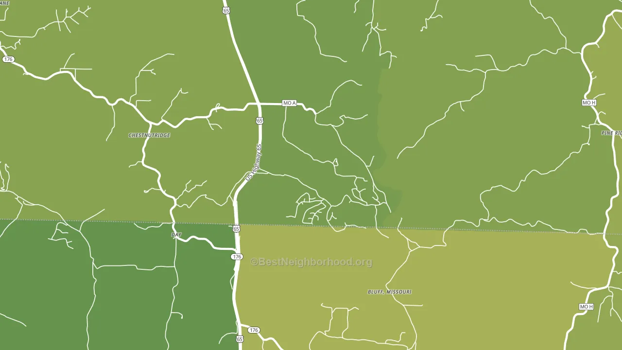 Saddlebrooke, MO block-group voter-turnout map
