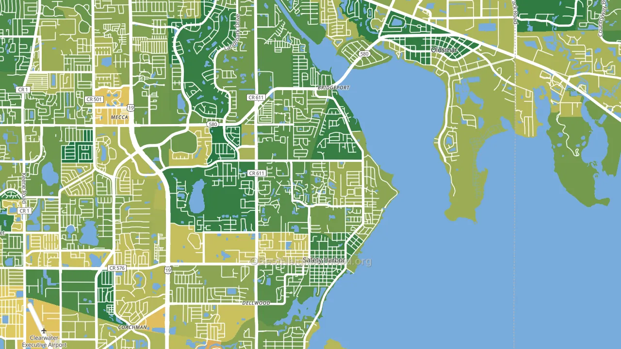 Safety Harbor, FL block-group voter-turnout map