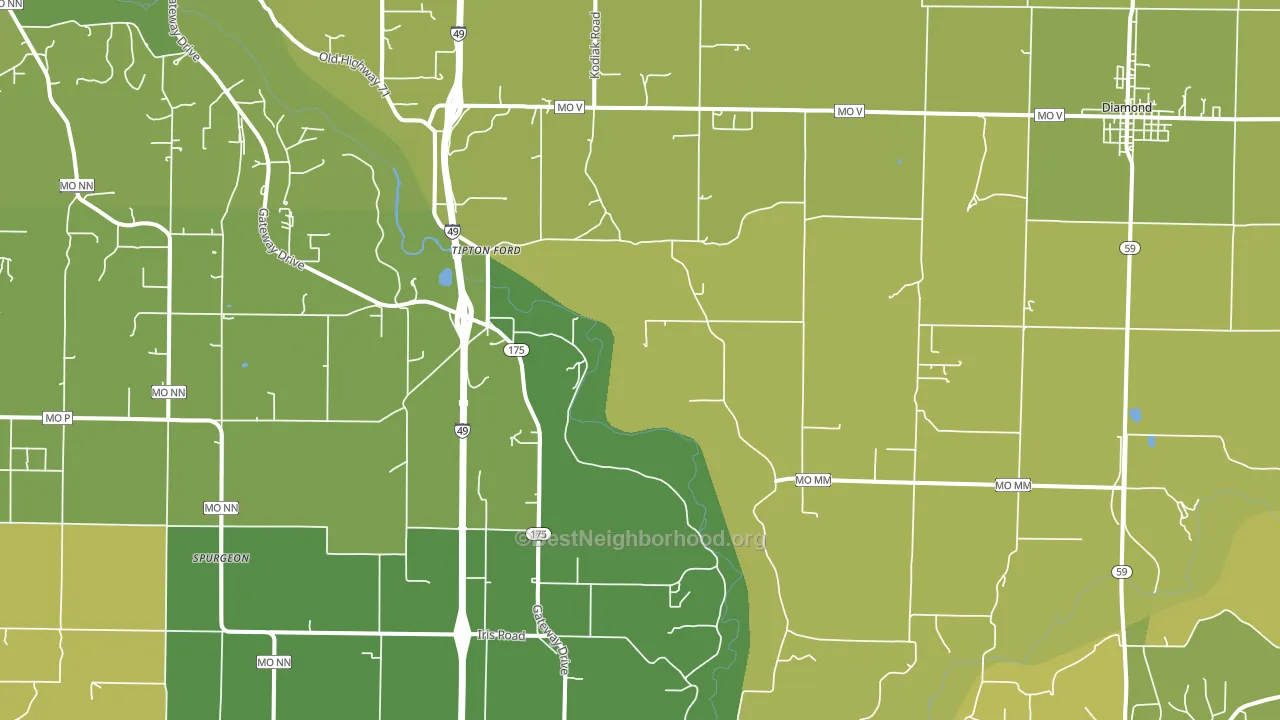 Saginaw, MO block-group voter-turnout map