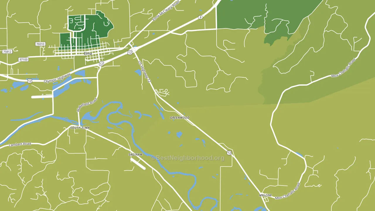 Saginaw, WA block-group voter-turnout map