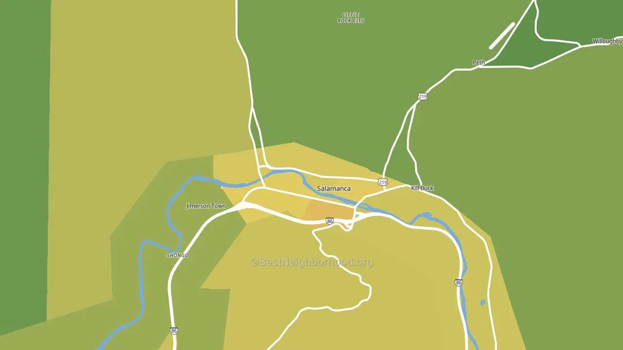 Salamanca, NY block-group voter-turnout map