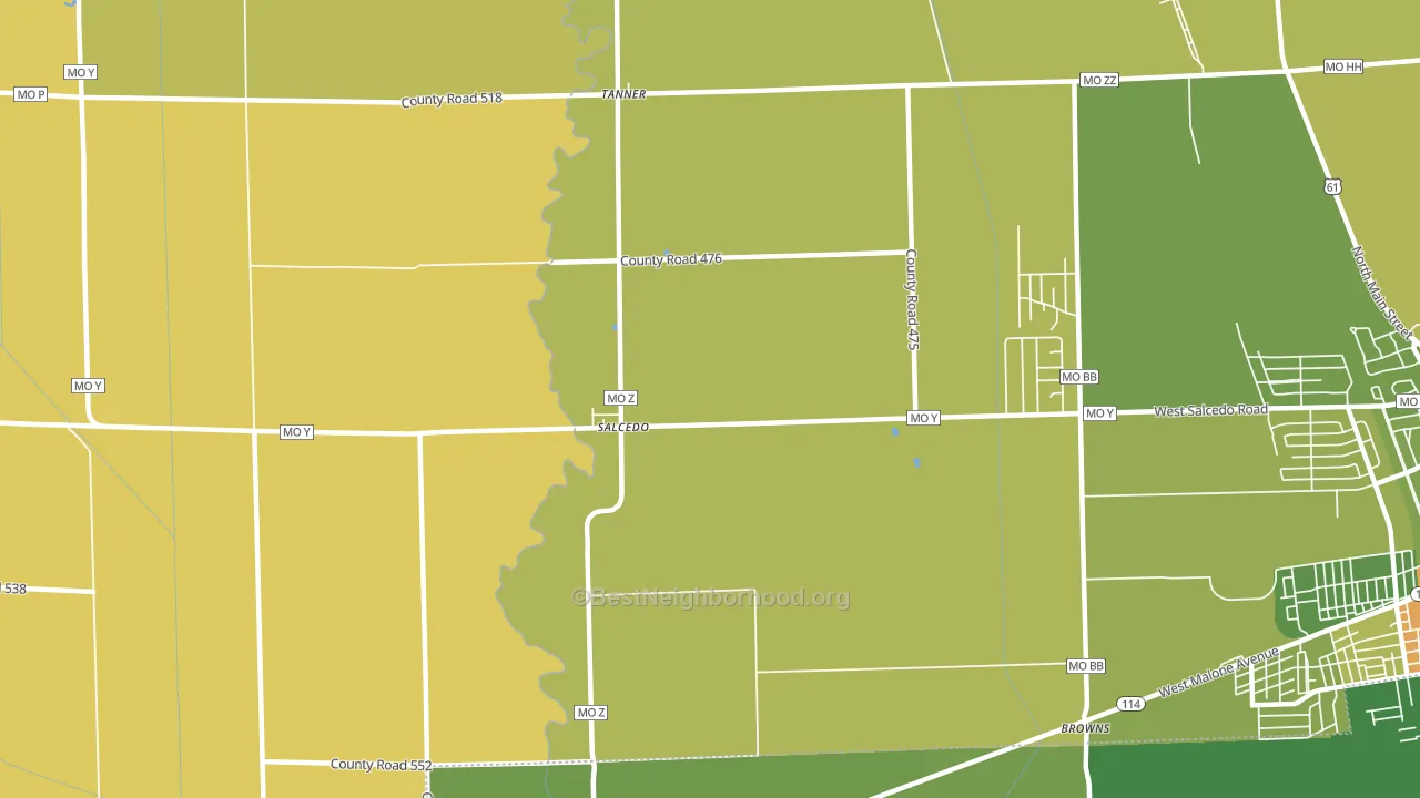 Salcedo, MO block-group voter-turnout map