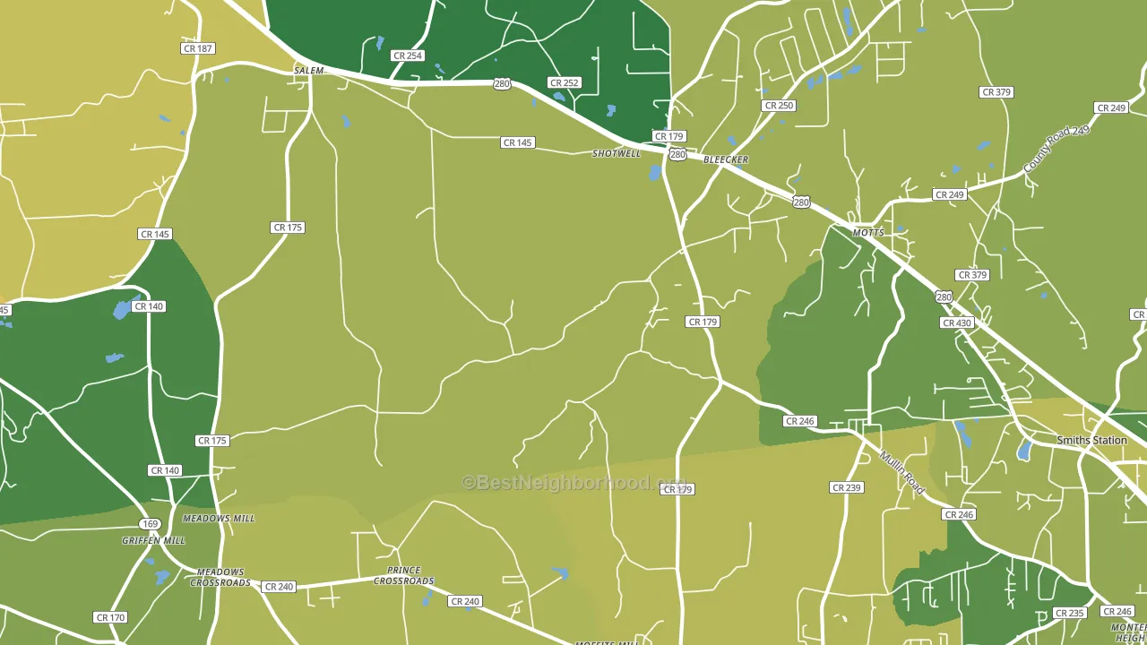 Salem, AL block-group voter-turnout map