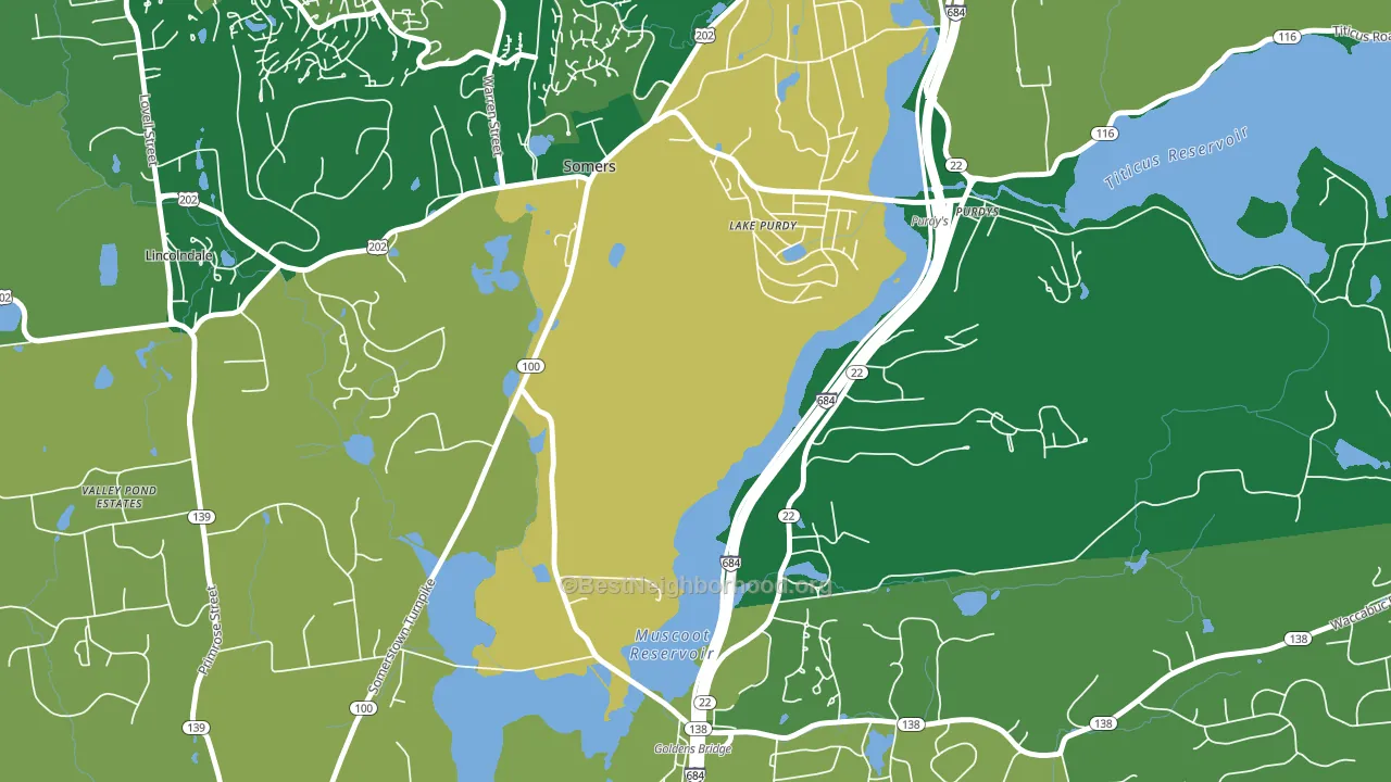Salem Center, NY block-group voter-turnout map