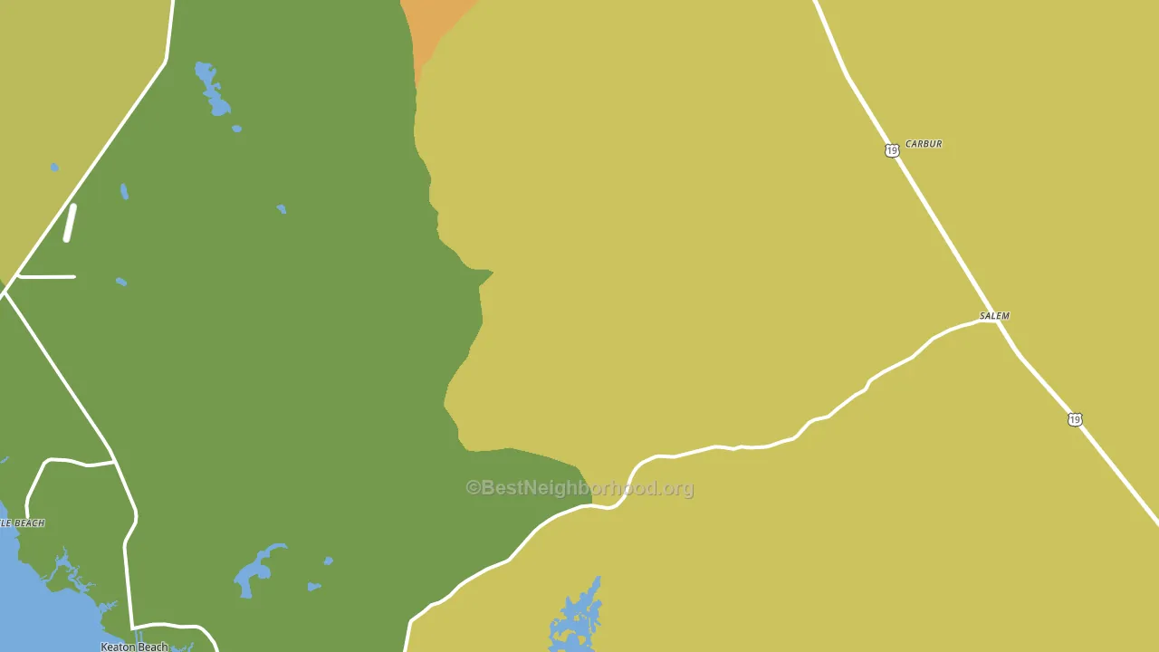 Salem, FL block-group voter-turnout map