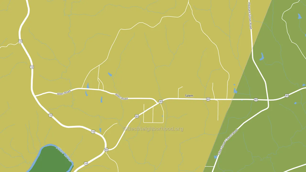 Salem, GA block-group voter-turnout map