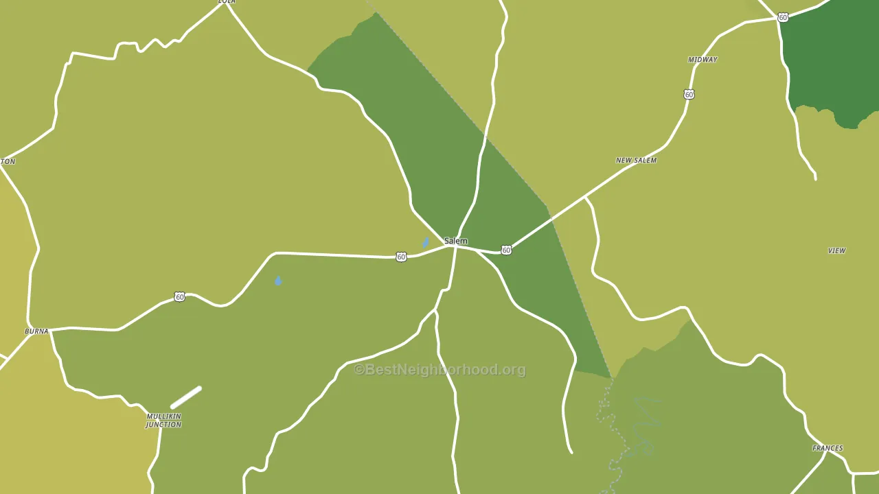 Salem, KY block-group voter-turnout map