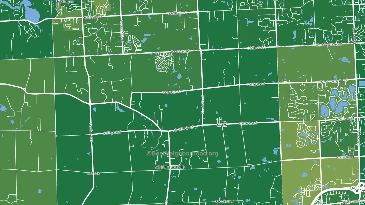 Salem, MI block-group voter-turnout map