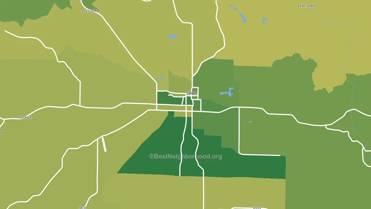Salem, MO block-group voter-turnout map