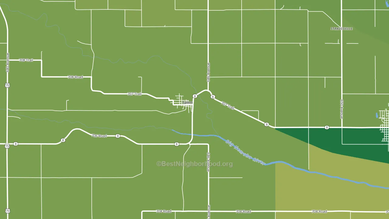 Salem, NE block-group voter-turnout map