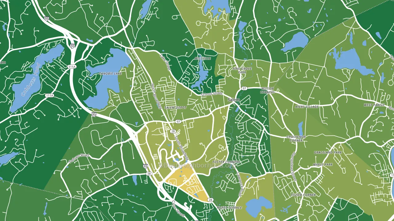 Salem, NH block-group voter-turnout map