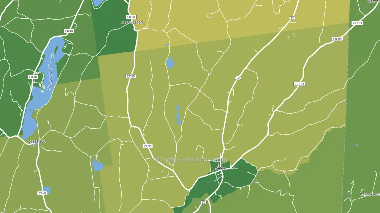 Salem, NY block-group voter-turnout map