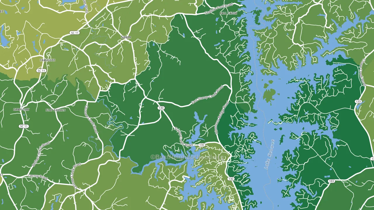 Salem, SC block-group voter-turnout map