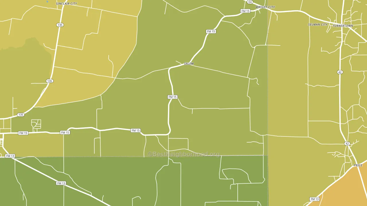 Salem, TX block-group voter-turnout map