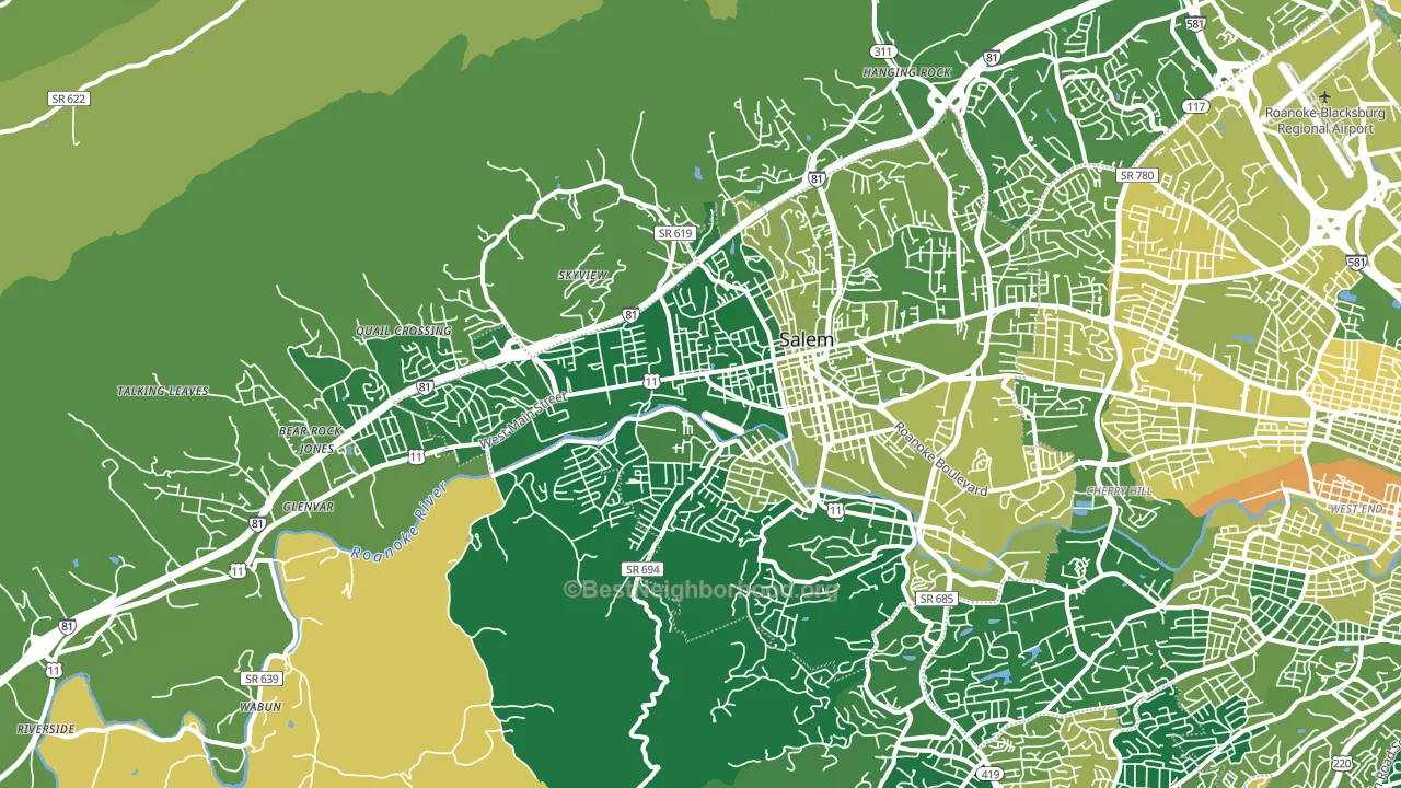 Salem, VA block-group voter-turnout map
