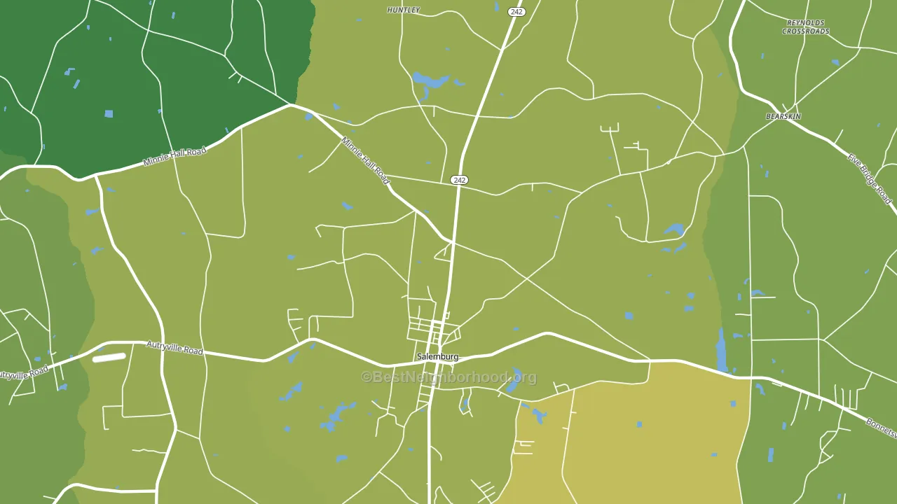 Salemburg, NC block-group voter-turnout map