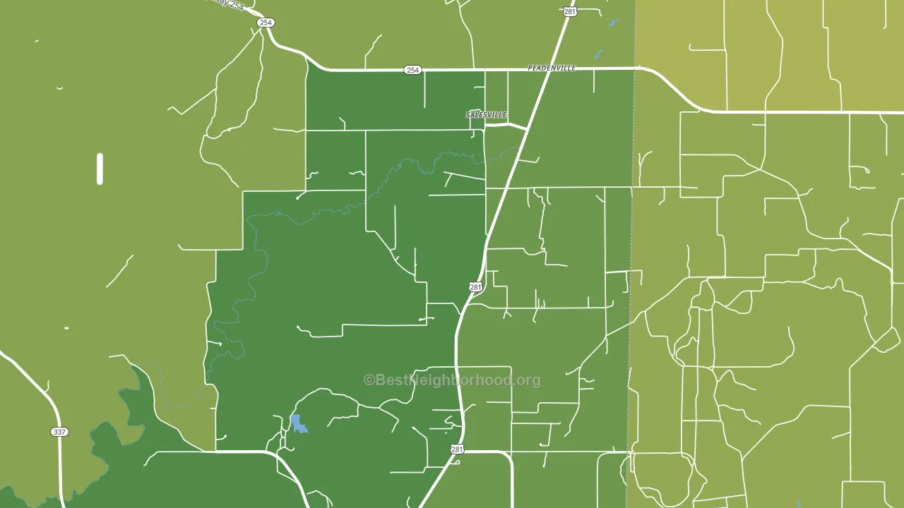 Salesville, TX block-group voter-turnout map