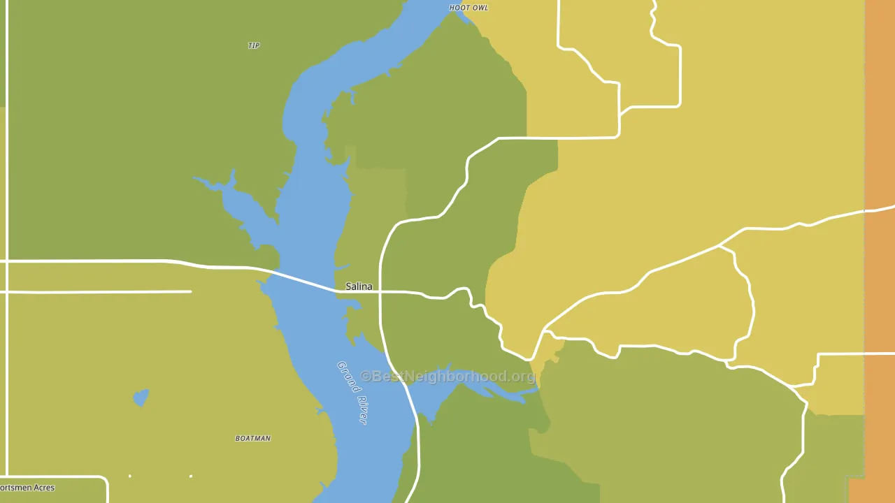 Salina, OK block-group voter-turnout map
