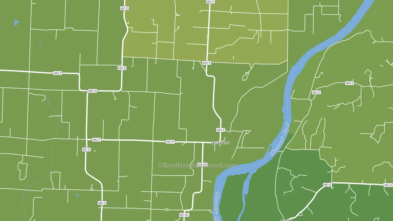 Saline City, MO block-group voter-turnout map