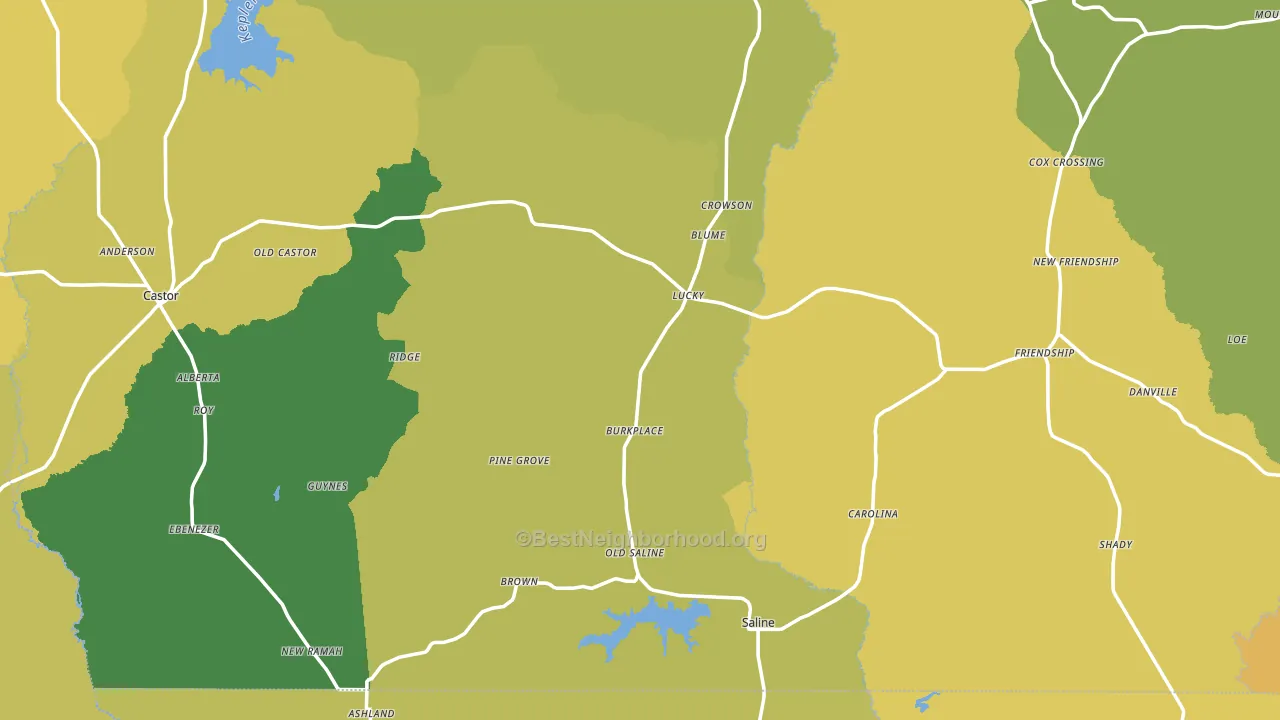 Saline, LA block-group voter-turnout map