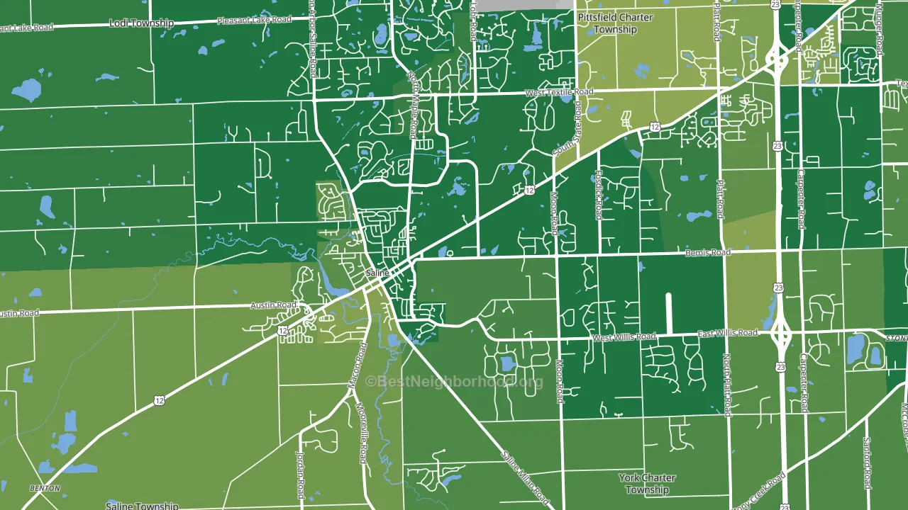 Saline, MI block-group voter-turnout map