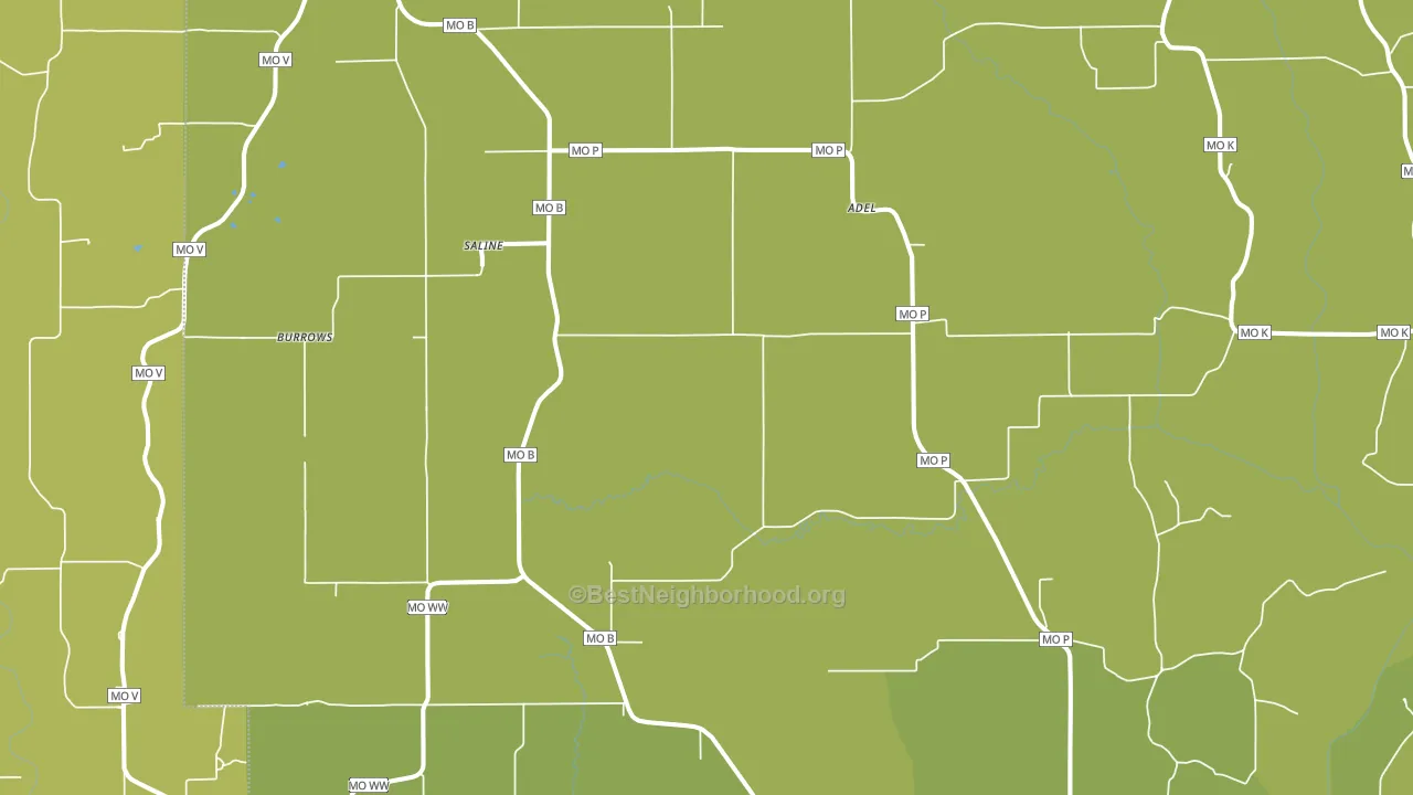 Saline, MO block-group voter-turnout map