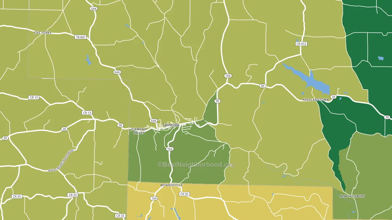 Salineville, OH block-group voter-turnout map