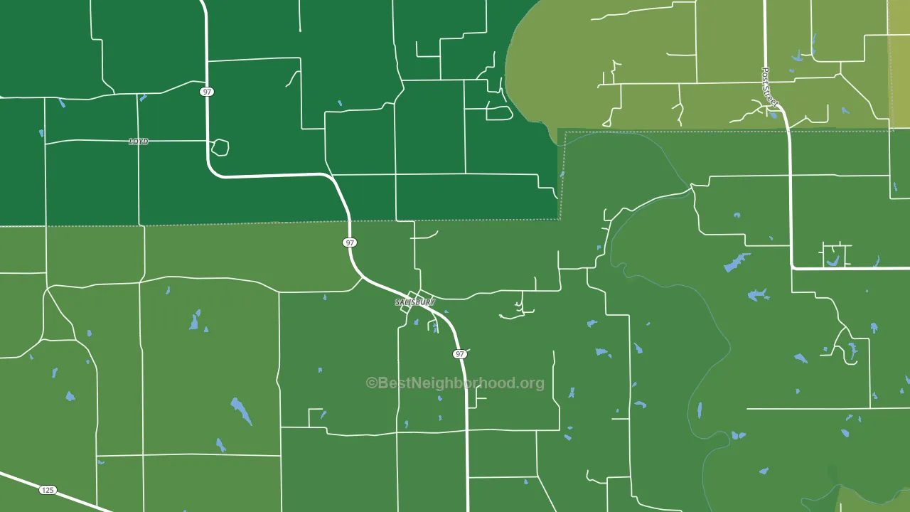 Salisbury, IL block-group voter-turnout map