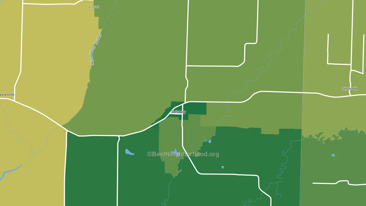 Salisbury, MO block-group voter-turnout map