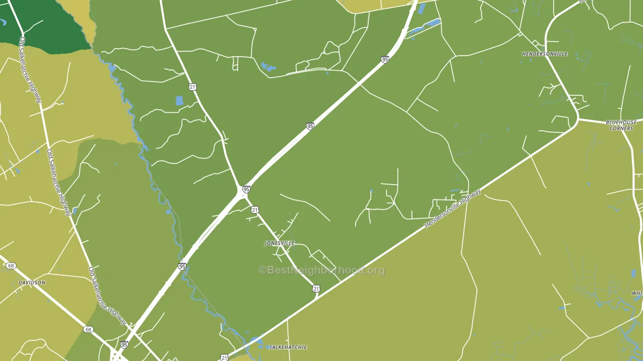 Salkehatchie, SC block-group voter-turnout map
