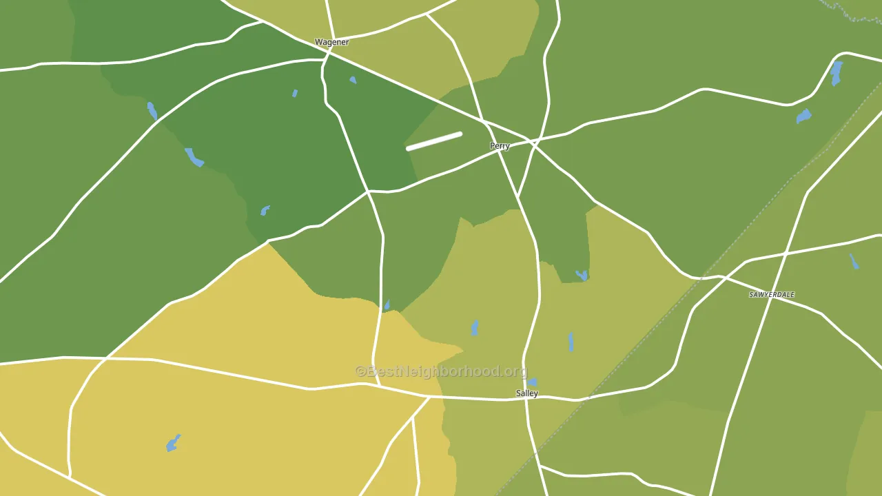 Salley, SC block-group voter-turnout map