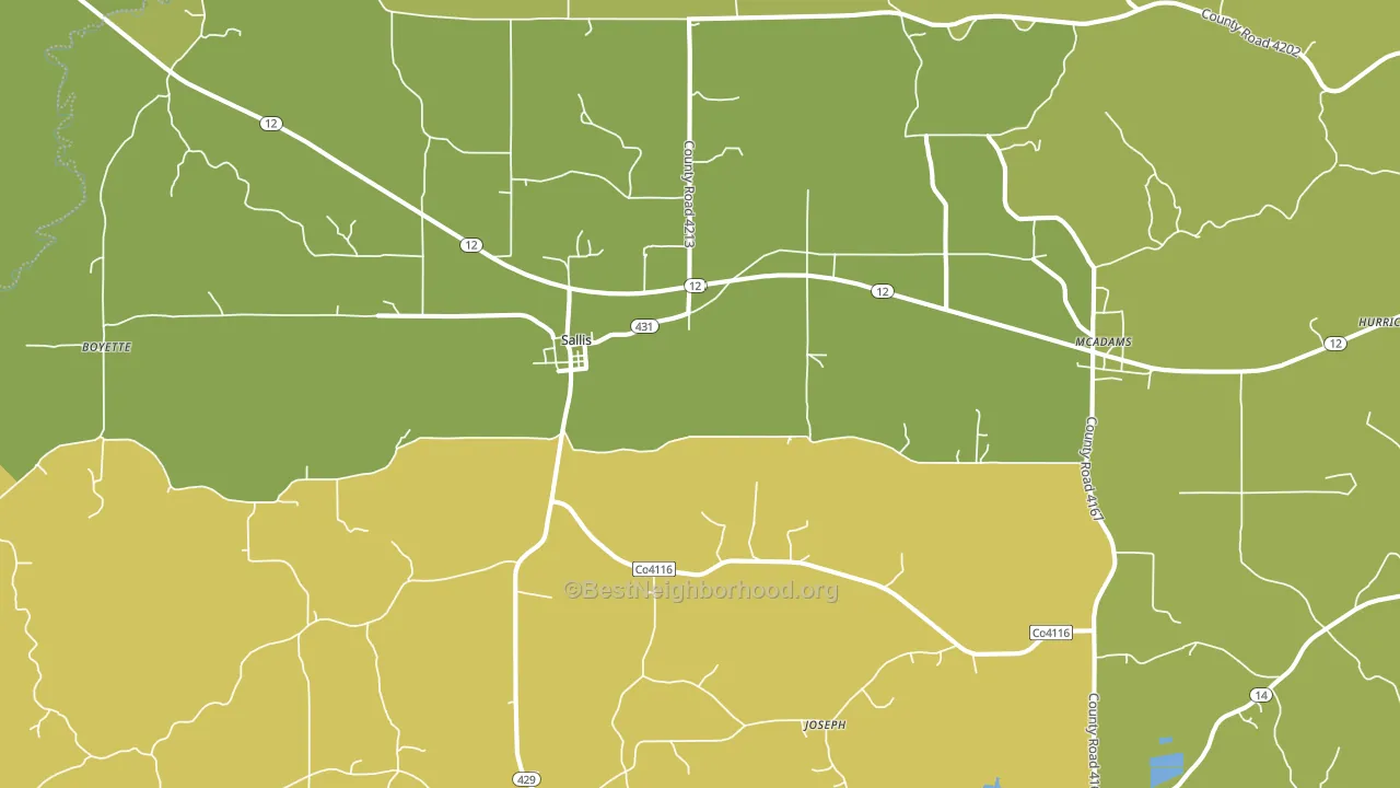 Sallis, MS block-group voter-turnout map