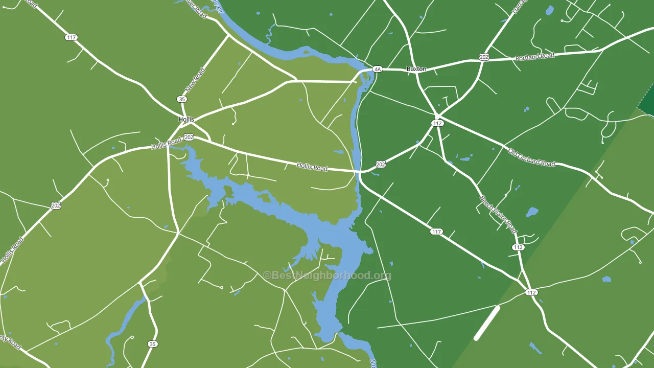Salmon Falls, ME block-group voter-turnout map