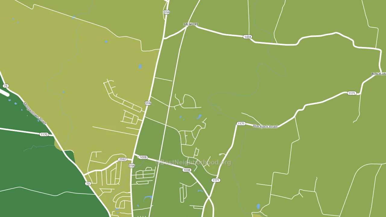 Salmon, KY block-group voter-turnout map