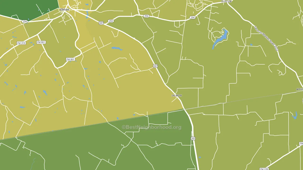 Salmon, TX block-group voter-turnout map