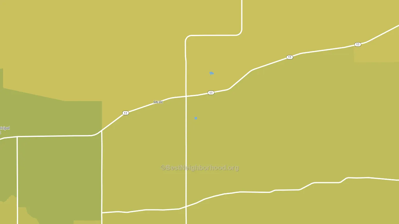 Salol, MN block-group voter-turnout map