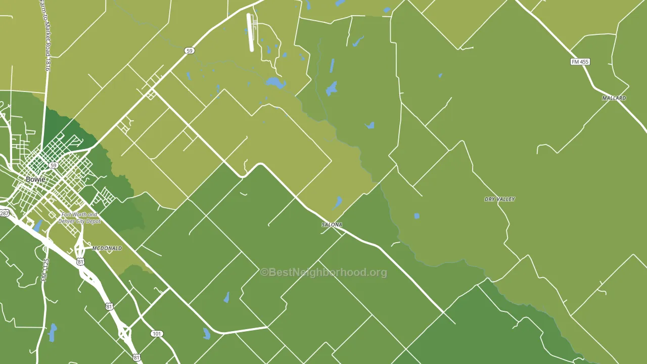 Salona, TX block-group voter-turnout map
