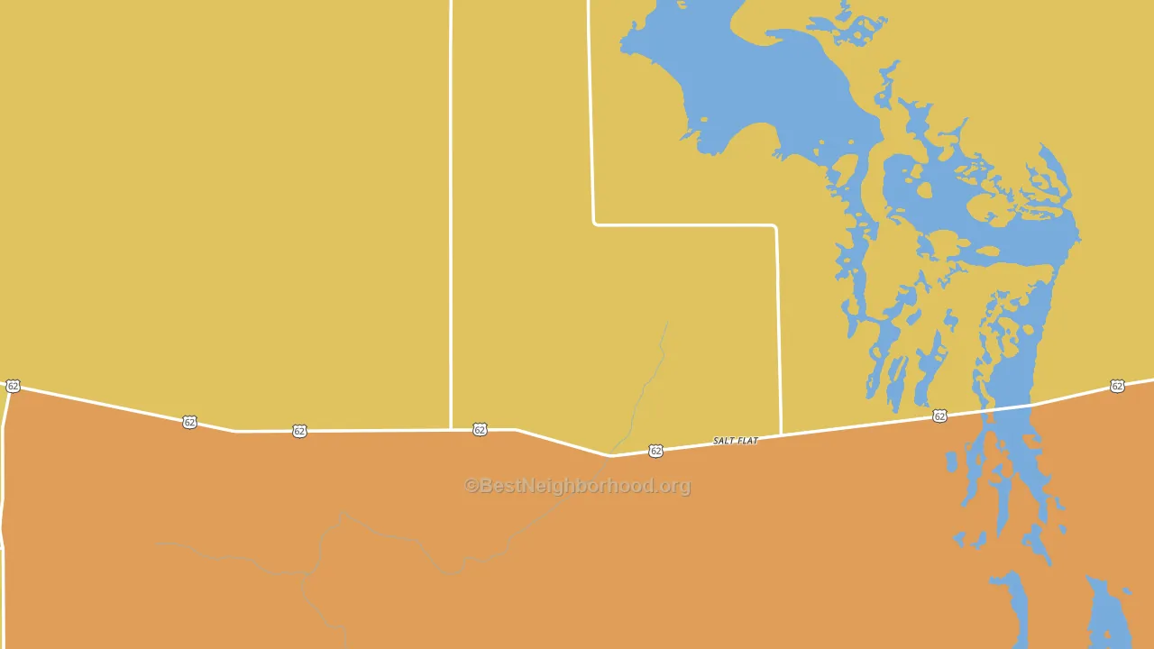 Salt Flat, TX block-group voter-turnout map
