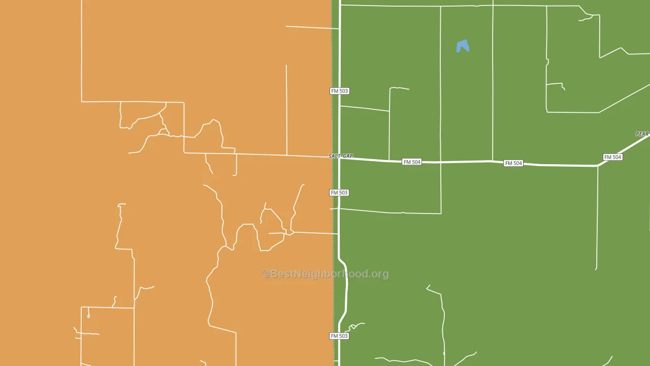Salt Gap, TX block-group voter-turnout map