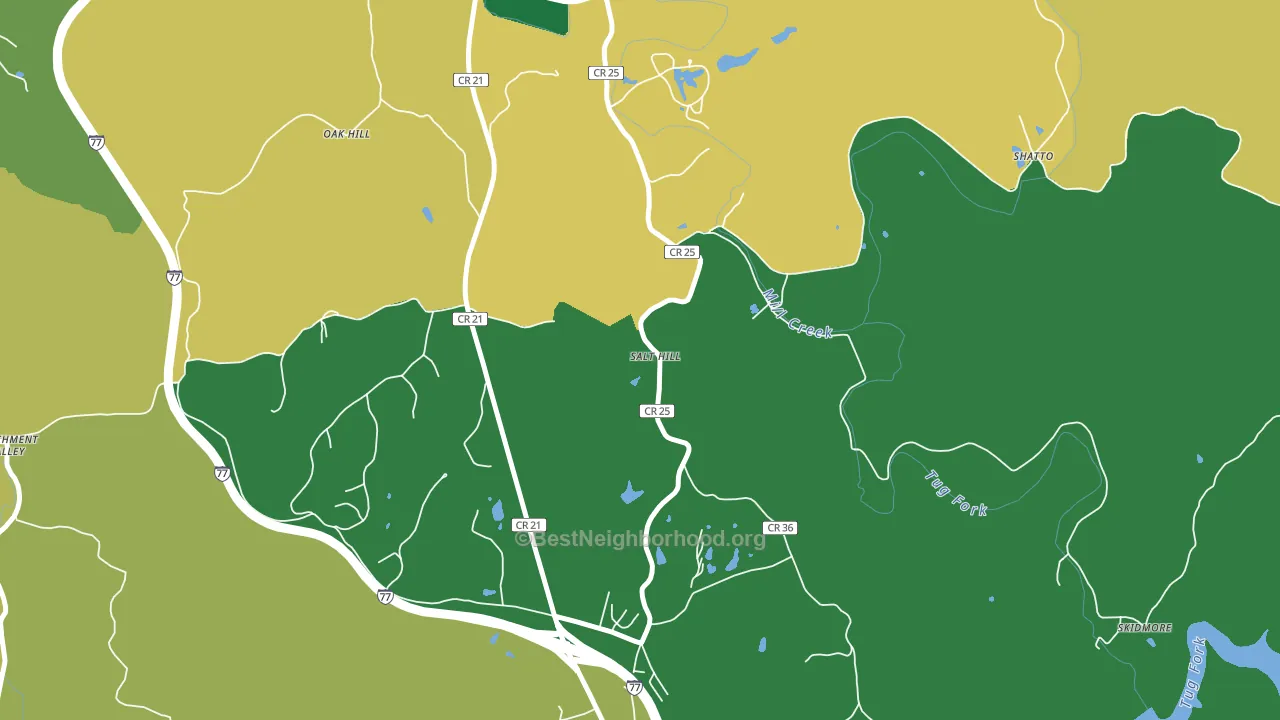 Salt Hill, WV block-group voter-turnout map