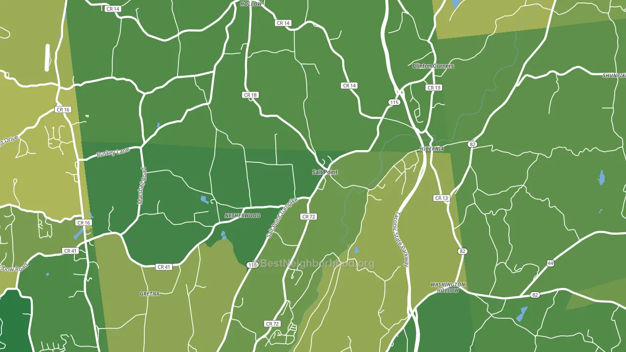 Salt Point, NY block-group voter-turnout map