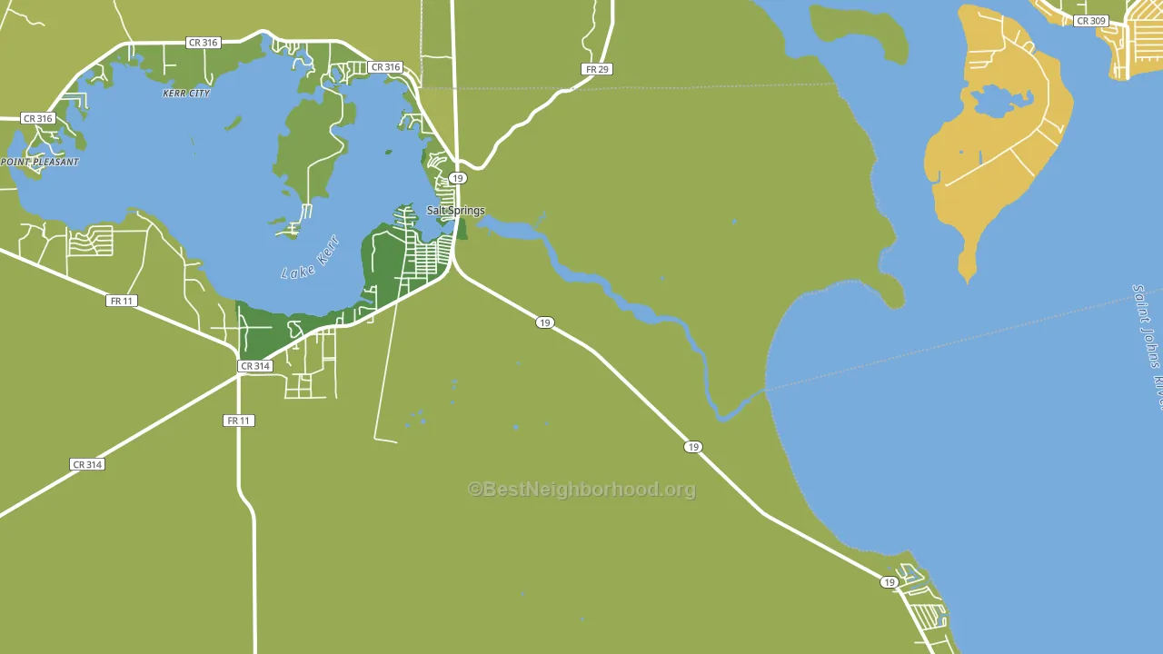 Salt Springs, FL block-group voter-turnout map