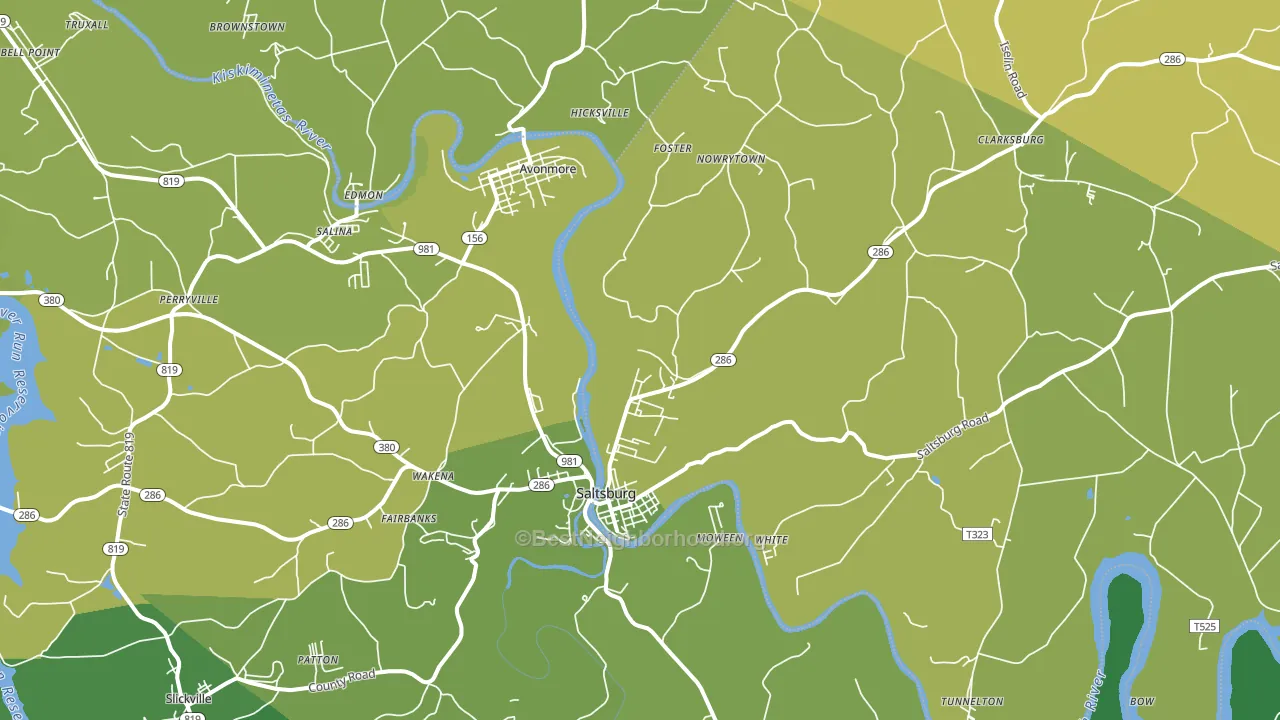 Saltsburg, PA block-group voter-turnout map