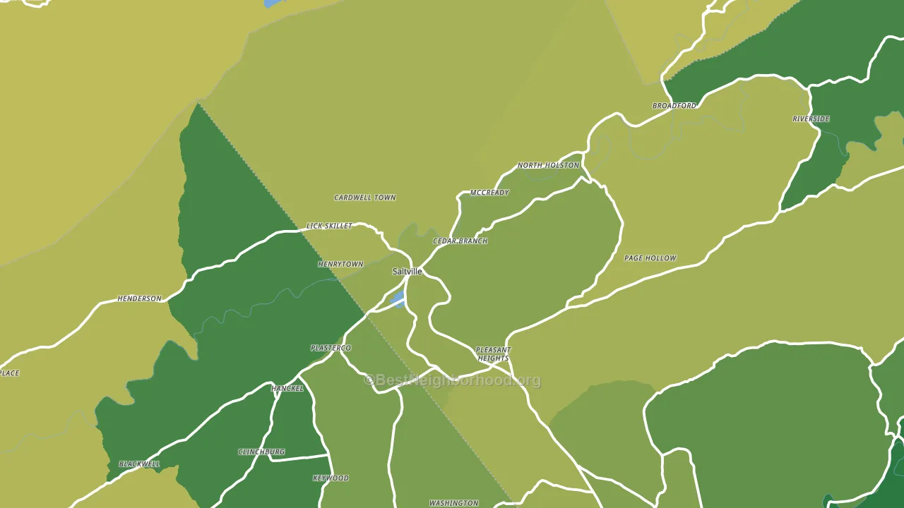 Saltville, VA block-group voter-turnout map