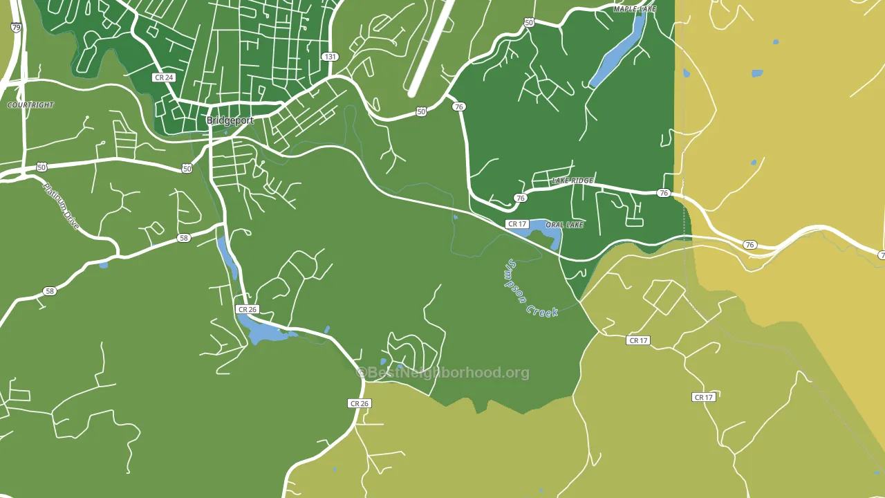 Saltwell, WV block-group voter-turnout map