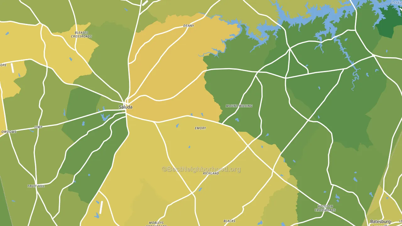 Saluda County, SC block-group voter-turnout map