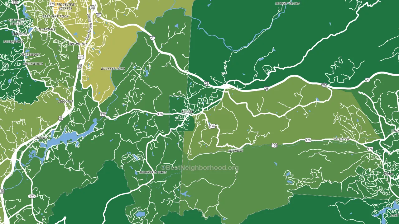 Saluda, NC block-group voter-turnout map
