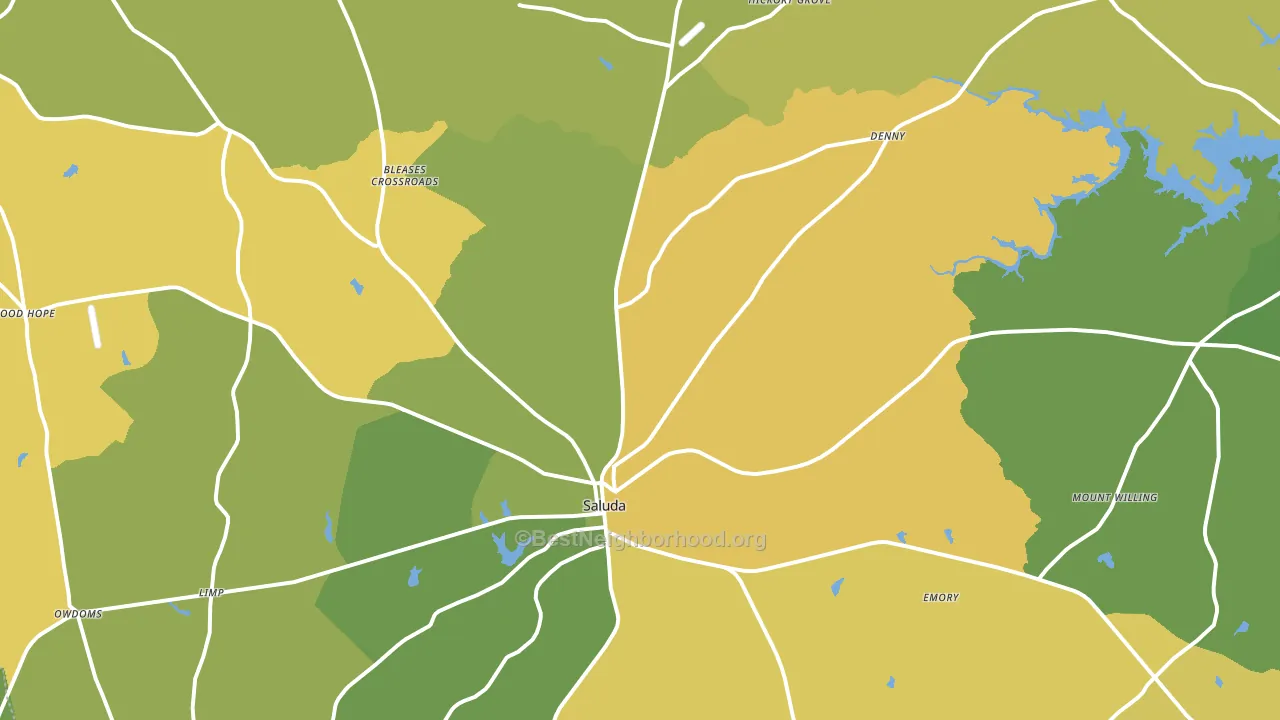Saluda, SC block-group voter-turnout map